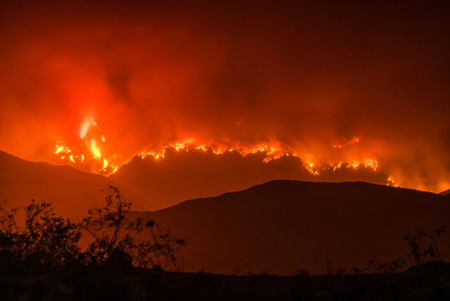The Whittier Fire. California, July 2017.